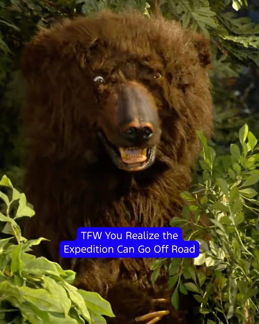 TFW You Realize the Expedition Can Go Off Road - 1